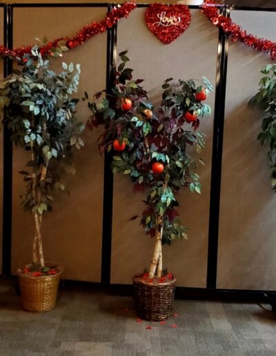 Image of decorated trees